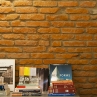 Immagine 12