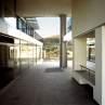 Immagine 7